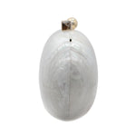 Load image into Gallery viewer, GSYPS Acrylic Evening Clutch Bag for Women Shell Shape Shoulder Crossbody Bag Glitter Marble Purse Handbag Pearl White
