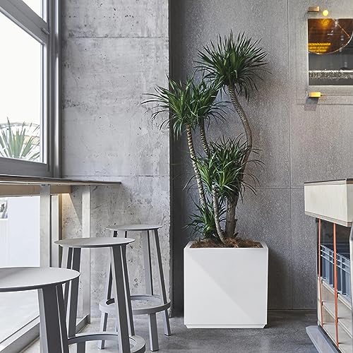 Wallowa Metallic Heavy Planter Box for Outdoor or Indoor, No Assemble and Seamless, Large Square Planter, Cube Planter for Tall Trees, Plants, Flowers 21Lx21Wx24H 35Pounds White