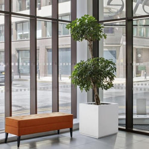 Wallowa Metallic Heavy Planter Box for Outdoor or Indoor, No Assemble and Seamless, Large Square Planter, Cube Planter for Tall Trees, Plants, Flowers 21Lx21Wx24H 35Pounds White