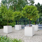 Load image into Gallery viewer, Wallowa Metallic Heavy Planter Box for Outdoor or Indoor, No Assemble and Seamless, Large Square Planter, Cube Planter for Tall Trees, Plants, Flowers 21Lx21Wx24H 35Pounds White
