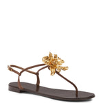 Load image into Gallery viewer, Giuseppe Zanotti, Orchid Flat, 8, Brown
