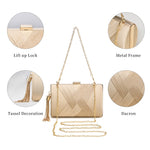 Load image into Gallery viewer, YAPAIOU Clutch Purses For Women Tassel Evening Clutch bag Cross Body &amp; Shoulder Bag For Wedding Night out Party Champagne Gold
