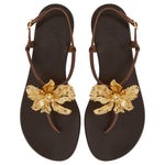 Load image into Gallery viewer, Giuseppe Zanotti, Orchid Flat, 8, Brown

