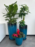 Load image into Gallery viewer, MinCHI257 24,21,11 Inch Large Plastic Planters with Drainage Hole and Saucer - Set of 3 Tall Plant Pots Indoor Flower Pot Tall Round Planters Outdoor Large Tall Planter
