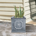 Load image into Gallery viewer, Kante Square Lion Head Concrete Planter, Classic English Style Plant Pot with Drainage Hole and Rubber Plug for Indoor Outdoor Garden Patio Home, 12.6&quot;x12.6&quot;x12.6&quot; Antique Gray
