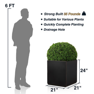 Wallowa Metallic Heavy Cube Planter Box, No Assemble, Seamless Large Square Planter for Trees, Plants and Flowers 21”Lx21”Wx24”H 35Pounds Black with Hand Brushed Gold Rim