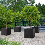 Load image into Gallery viewer, Wallowa Metallic Heavy Cube Planter Box, No Assemble, Seamless Large Square Planter for Trees, Plants and Flowers 21”Lx21”Wx24”H 35Pounds Black with Hand Brushed Gold Rim
