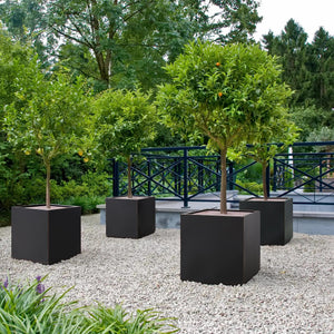 Wallowa Metallic Heavy Cube Planter Box, No Assemble, Seamless Large Square Planter for Trees, Plants and Flowers 21”Lx21”Wx24”H 35Pounds Black with Hand Brushed Gold Rim